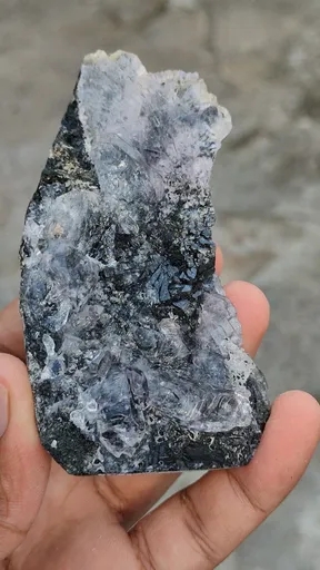 specimen video