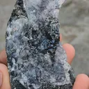 specimen video