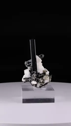 specimen video