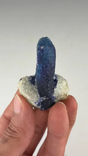 specimen video