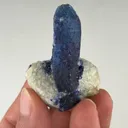 specimen video