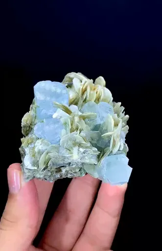 specimen video