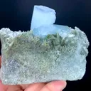 specimen video