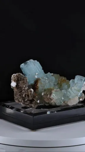 specimen video