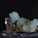 specimen video