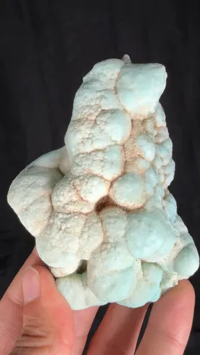specimen video