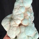 specimen video