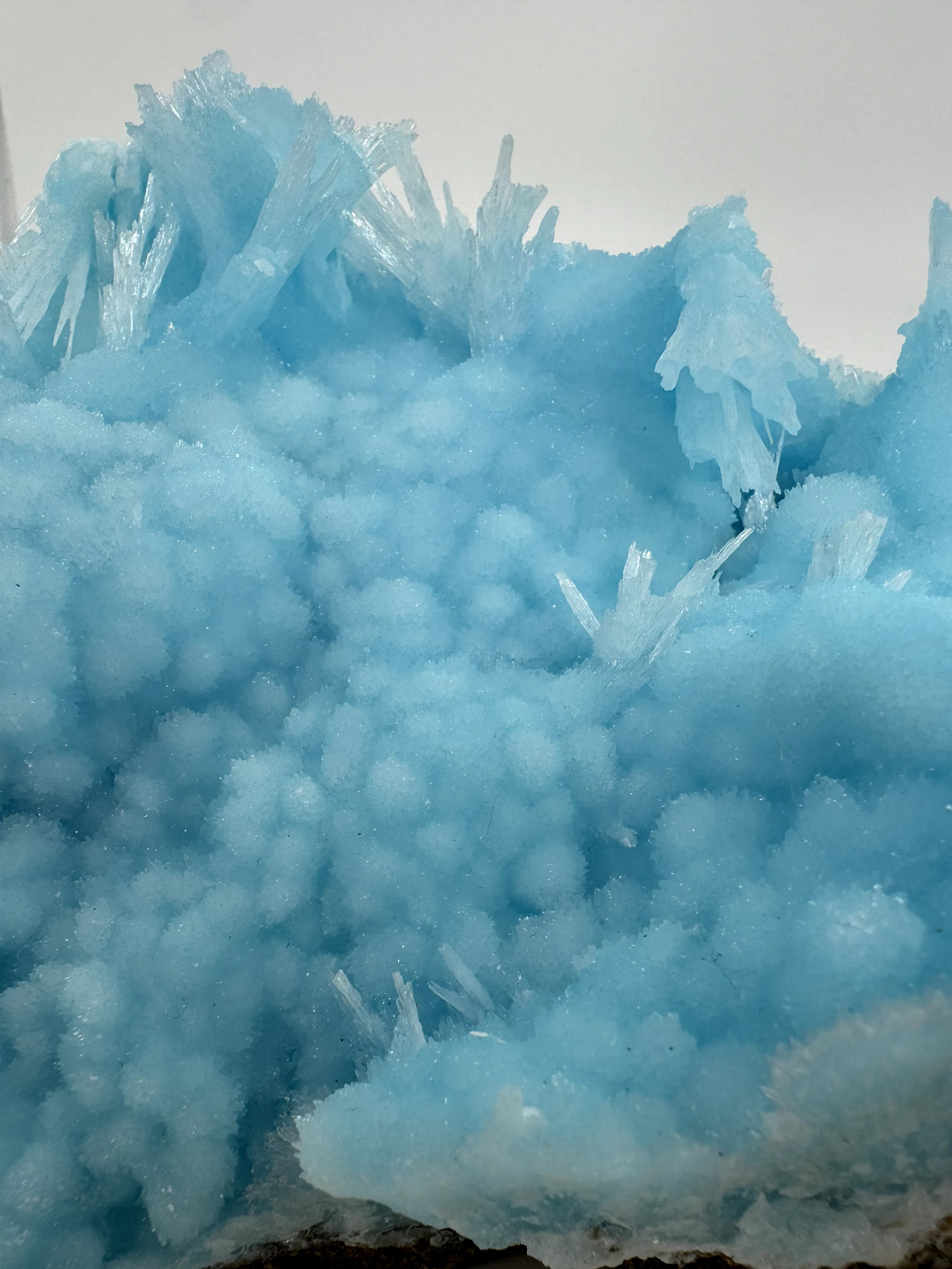 Blue Aragonite "wave" - image 6