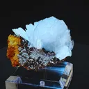 specimen video
