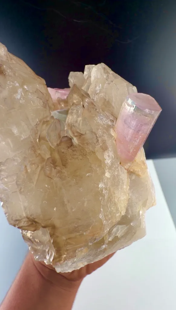 Blue cap pink Tourmaline from Afghanistan - image 2