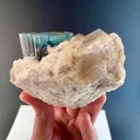 Blue cap Tourmaline from Afghanistan - image 3