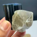 Blue cap Tourmaline from Afghanistan - image 1