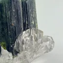 Blue Cap Tourmaline & Quartz from Afghanistan - image 2