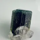 Blue Cap Tourmaline & Quartz from Afghanistan - image 3