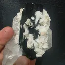 Blue cape Tourmaline Quartz Mica Specimen | Pakistan Cabinet Display (88x77x63mm) - image 3