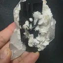 Blue cape Tourmaline Quartz Mica Specimen | Pakistan Cabinet Display (88x77x63mm) - image 6
