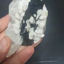 specimen video