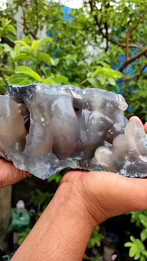 specimen video