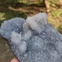 specimen video