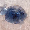 Blue Fluorapatite on Smoky Quartz - image 5