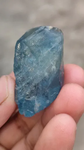 specimen video