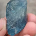 specimen video