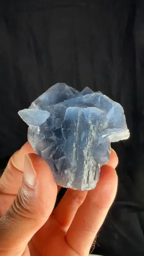 specimen video