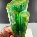 Blue green Tourmaline from Afghanistan - image 2
