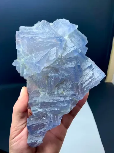 specimen video