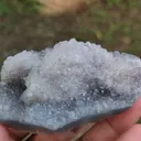 specimen video
