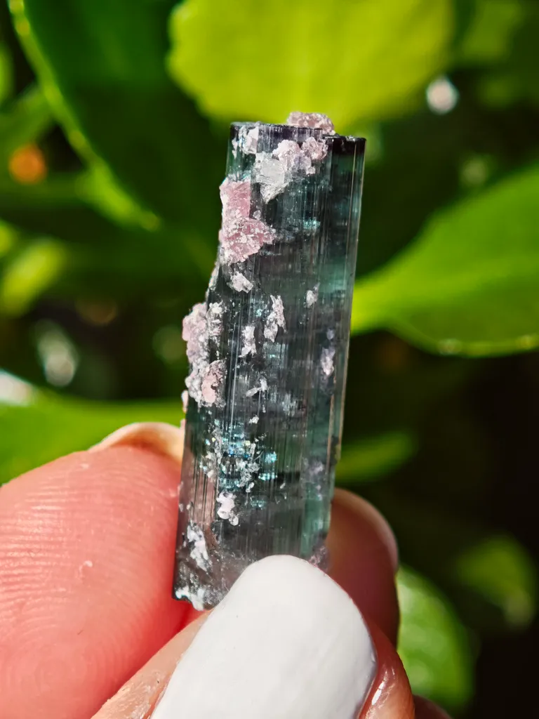 Blue Tourmaline with lepidolite from Brazil. Associated with fine lepidolite crystals. The tourmaline has glass like luster and transparency - image 2