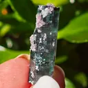 Blue Tourmaline with lepidolite from Brazil. Associated with fine lepidolite crystals. The tourmaline has glass like luster and transparency - image 2