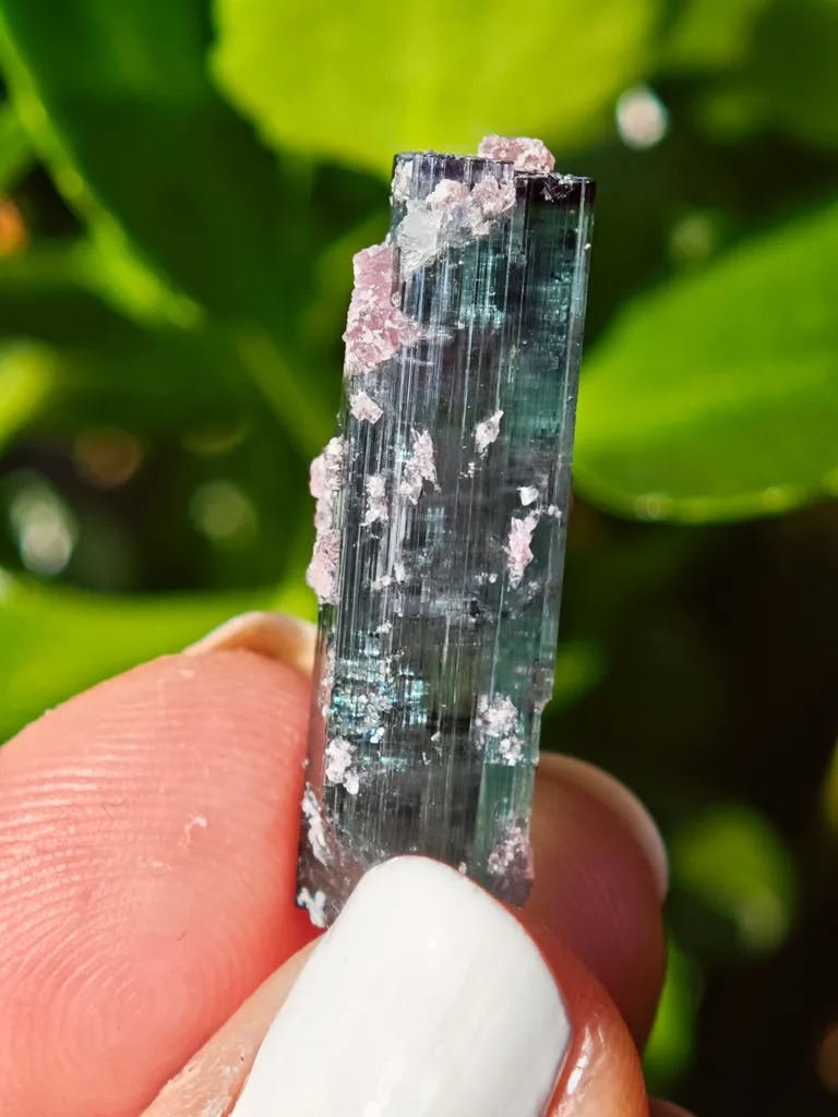 Blue Tourmaline with lepidolite from Brazil. Associated with fine lepidolite crystals. The tourmaline has glass like luster and transparency - image 6