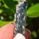 Blue Tourmaline with lepidolite from Brazil. Associated with fine lepidolite crystals. The tourmaline has glass like luster and transparency - image 6