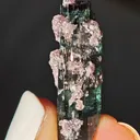 Blue Tourmaline with lepidolite from Brazil. Associated with fine lepidolite crystals. The tourmaline has glass like luster and transparency - image 8