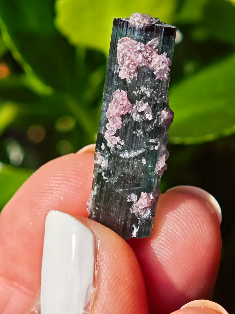 Blue Tourmaline with lepidolite from Brazil. Associated with fine lepidolite crystals. The tourmaline has glass like luster and transparency - image 4