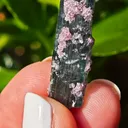 Blue Tourmaline with lepidolite from Brazil. Associated with fine lepidolite crystals. The tourmaline has glass like luster and transparency - image 4