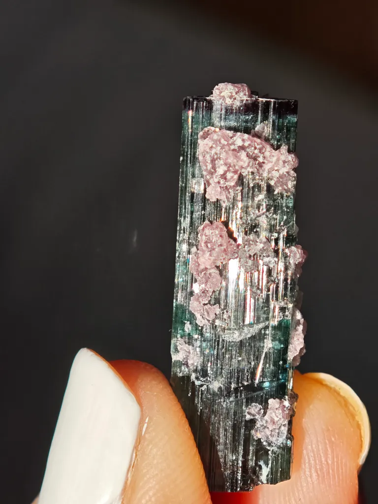 Blue Tourmaline with lepidolite from Brazil. Associated with fine lepidolite crystals. The tourmaline has glass like luster and transparency image