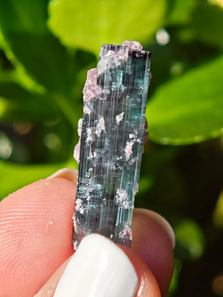 Blue Tourmaline with lepidolite from Brazil. Associated with fine lepidolite crystals. The tourmaline has glass like luster and transparency - image 5