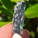 Blue Tourmaline with lepidolite from Brazil. Associated with fine lepidolite crystals. The tourmaline has glass like luster and transparency - image 5
