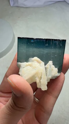 specimen video