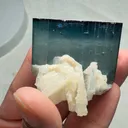 specimen video