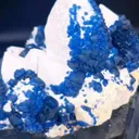 specimen video