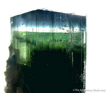 Bluecap Stak Nala Tourmaline - image 3