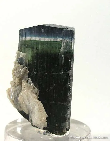 Bluecap Stak Nala Tourmaline image