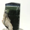 Bluecap Stak Nala Tourmaline - image 1