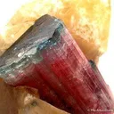 Bluecap Tourmaline on Quartz - image 3
