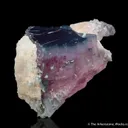 Bluecap Tourmaline with Morganite (1972 pocket) - image 1