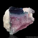Bluecap Tourmaline with Morganite (1972 pocket) - image 2