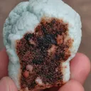 specimen video